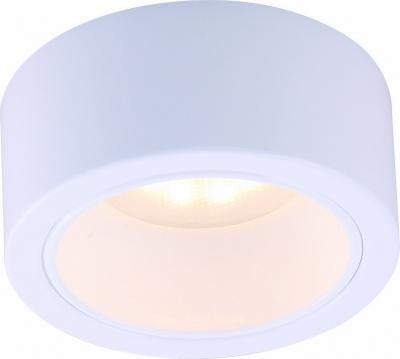 Накладной потолочный светильник Arte Lamp арт. A5553PL-1WH