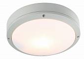 Уличный светильник Arte Lamp арт. A8154PF-2GY